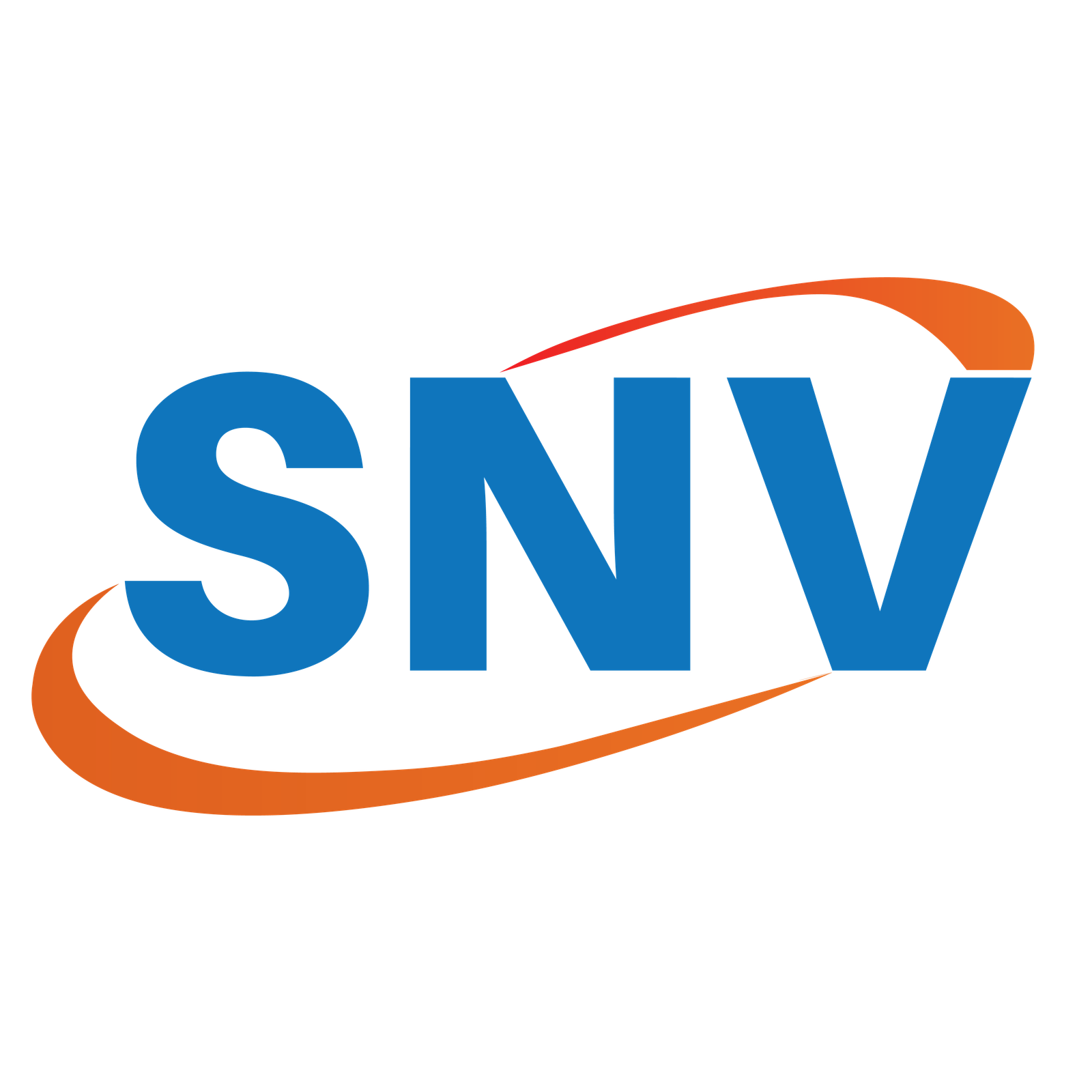 SNV Logo